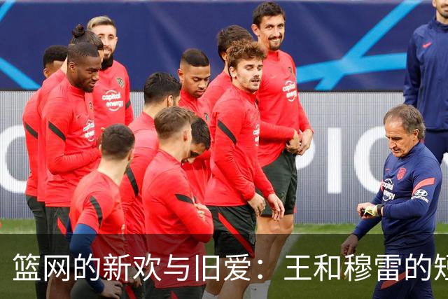 篮网的新欢与旧爱：王和穆雷的短暂舞台